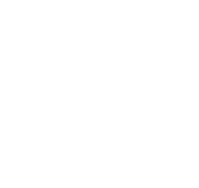 spv_logo